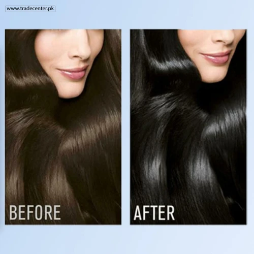 Garnier Original Black 2 Hair Color - Shop Online Pakistan